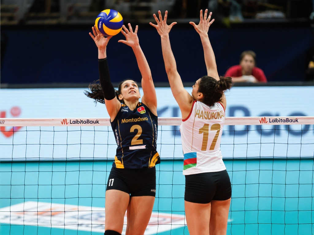 通常有权获 通常有权获